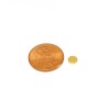 5mm x 1mm N52 Gold Plated Neodymium Magnet Discs - 13/64" x 1/32" Disc 5x1mm